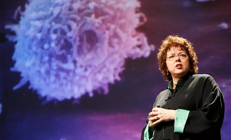 Stake(�й���)�ٷ���վ