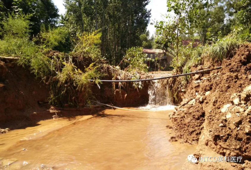 Stake(�й���)�ٷ���վ