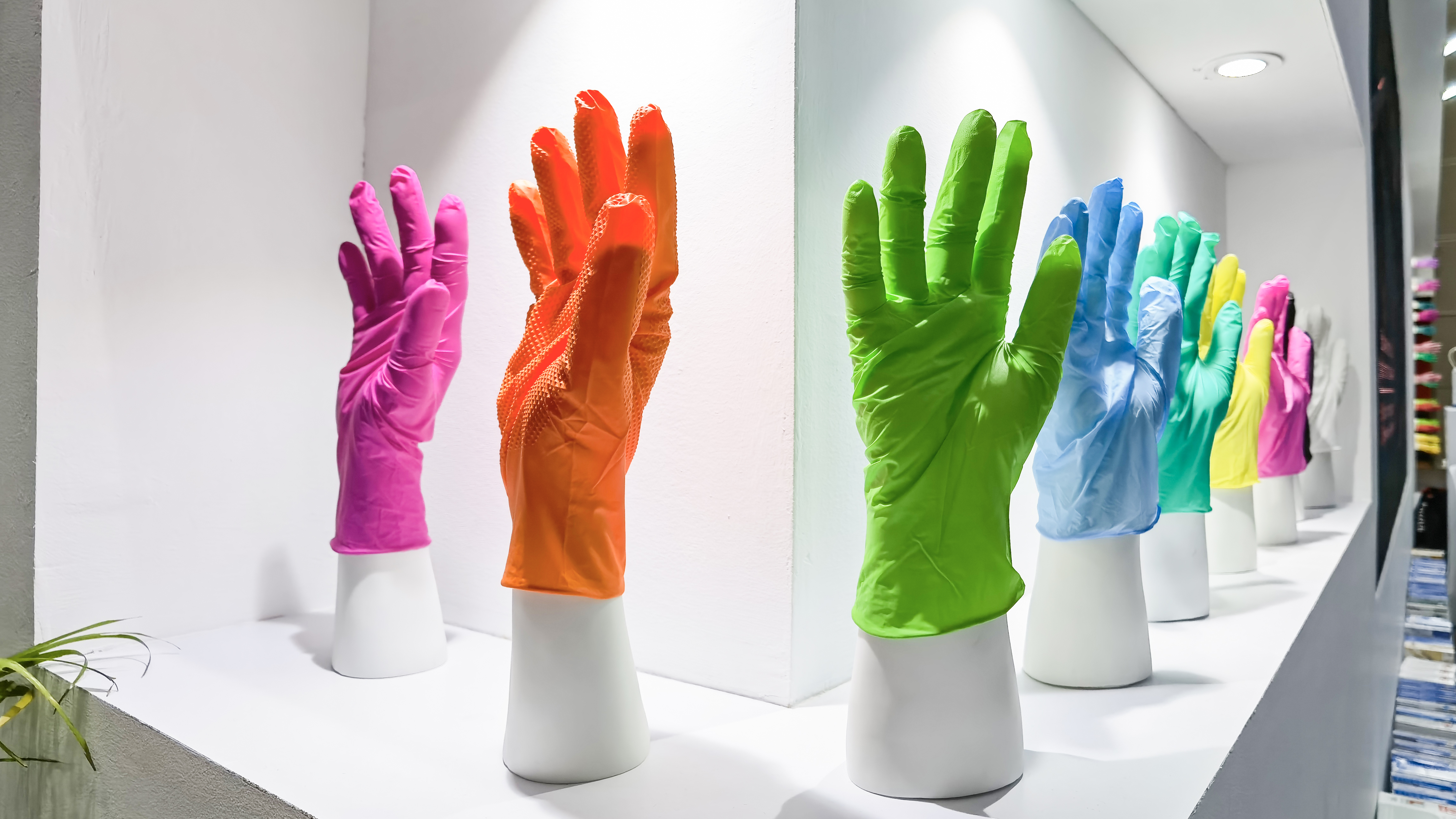 Stake(�й���)�ٷ���վ