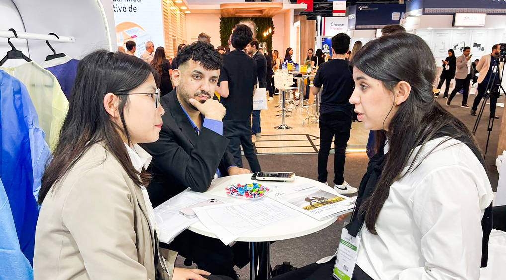 Stake(�й���)�ٷ���վ